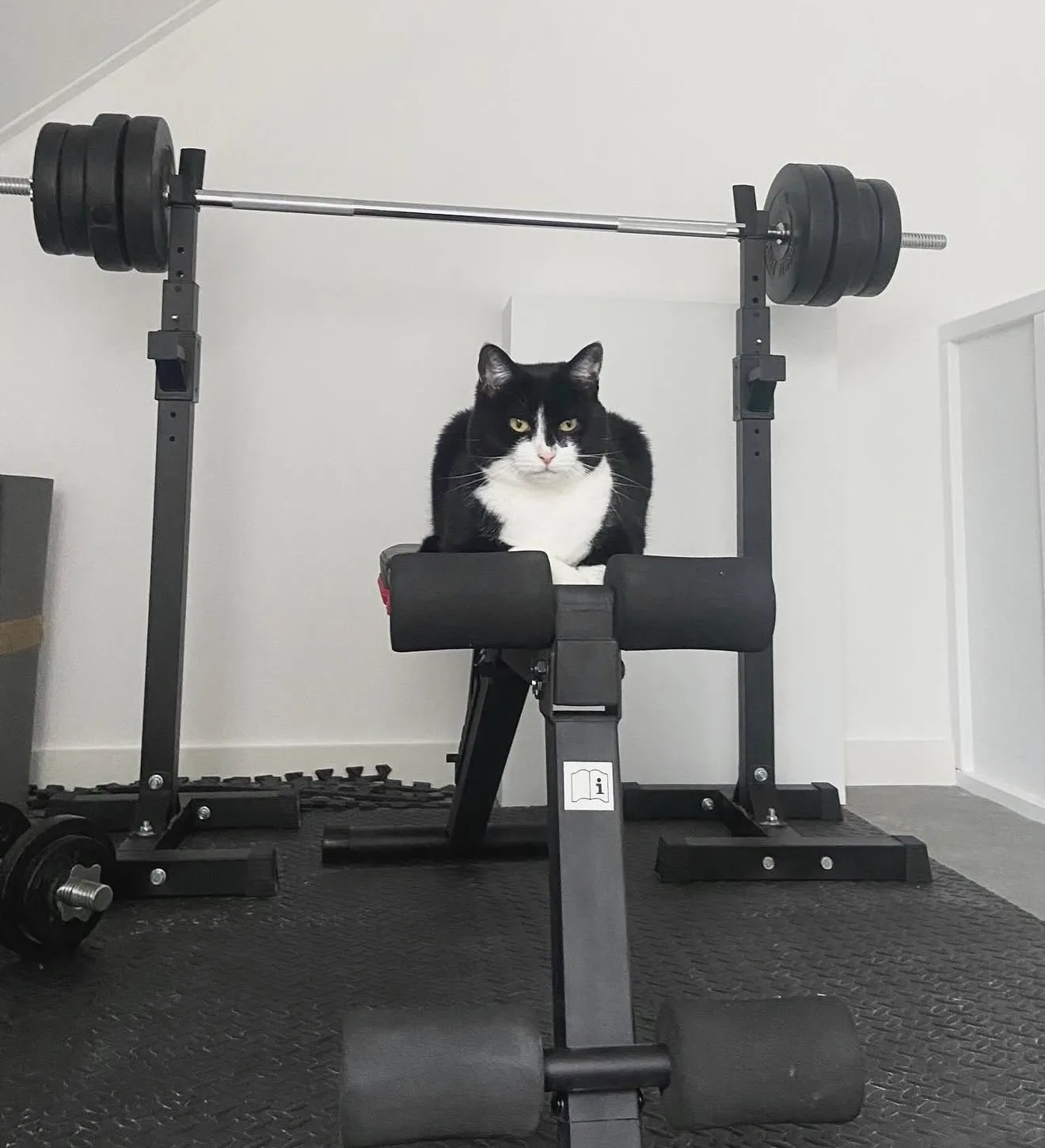 Zo, weer een stevige workout achter de rug!